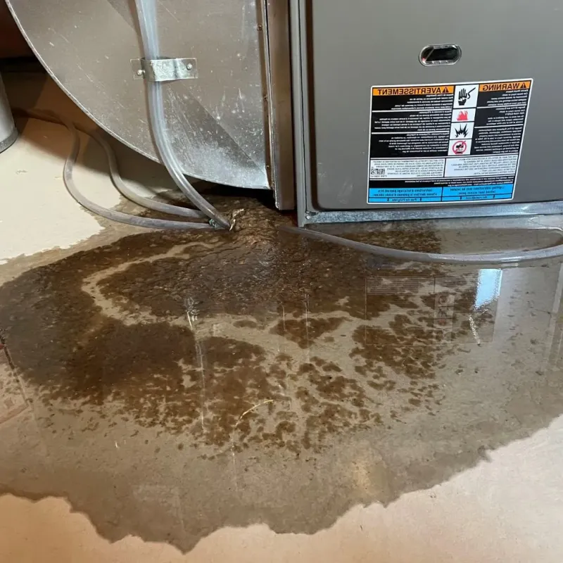Pipe Burst and Leak Restoration in Bath County, KY