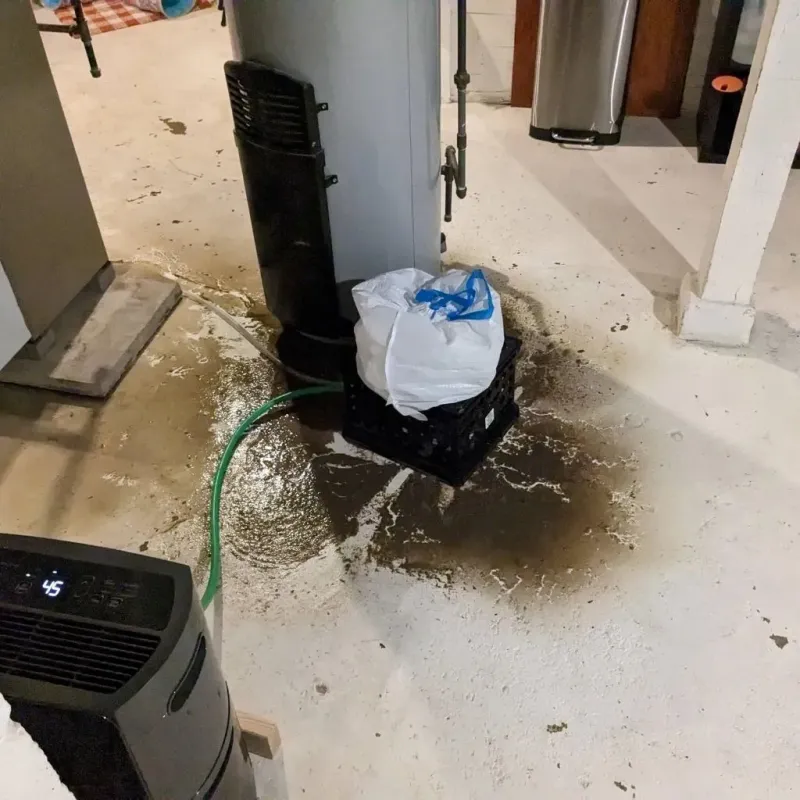 Sewage Backup Cleanup Service in Bath County, KY